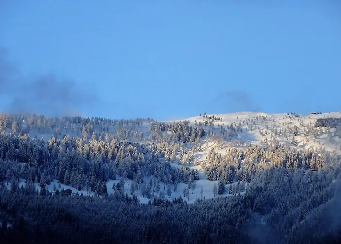 Ferienwohnung Mountaintop
